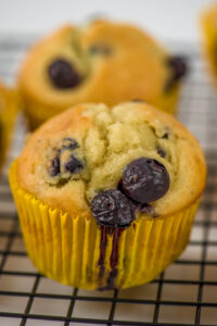 Quarantine Kitchen: Blueberry Muffins